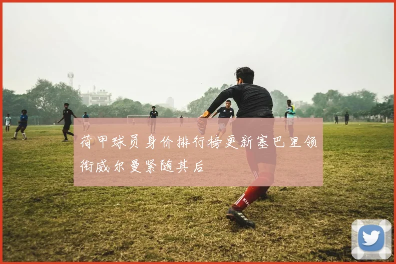 荷甲球员身价排行榜更新塞巴里领衔威尔曼紧随其后
