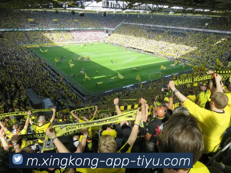 阿德巴约自信发声认为自己应入最佳防守一阵同行皆知实力